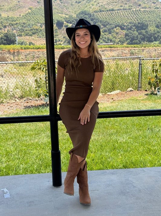 Krissa Knit Dress (Final Sale)