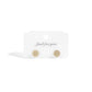 18K Gold PVD Stainless Steel Pave Stone Round Stud Earrings: Stainless