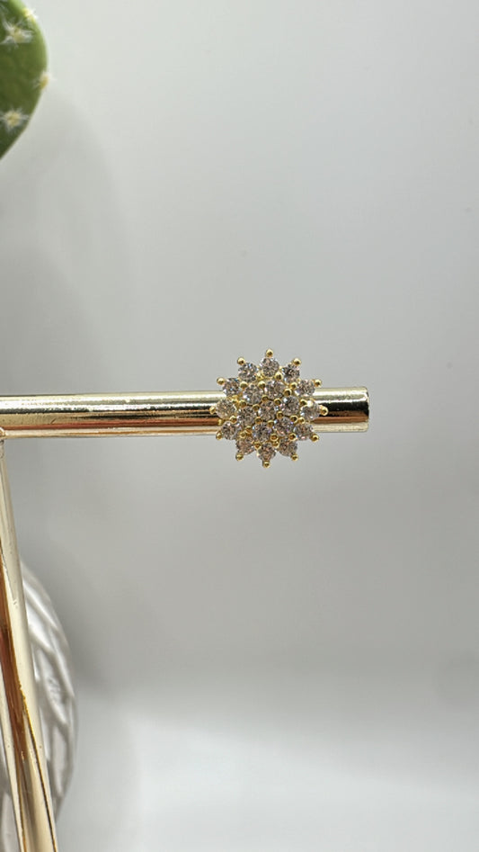 Danita Stud Earrings 18k Gold