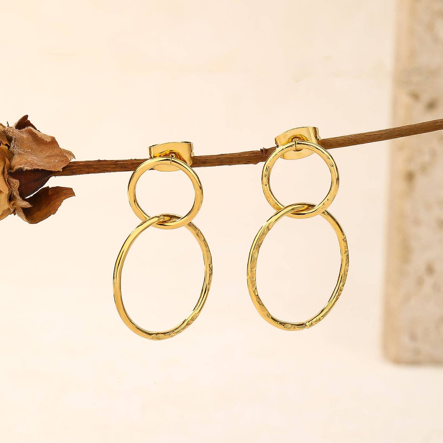 Double Circle Earrings