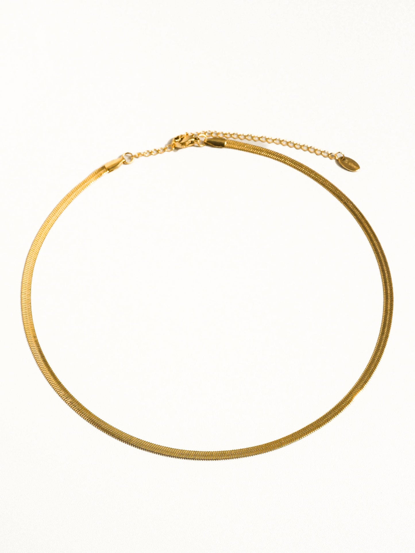 18K PVD Gold Non-Tarnish Flat Snake Chain Necklace & Bracelet: Yellow Gold / Stella Bracelet