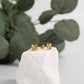 18K Gold PVD Stainless Steel Clover Stud Earrings