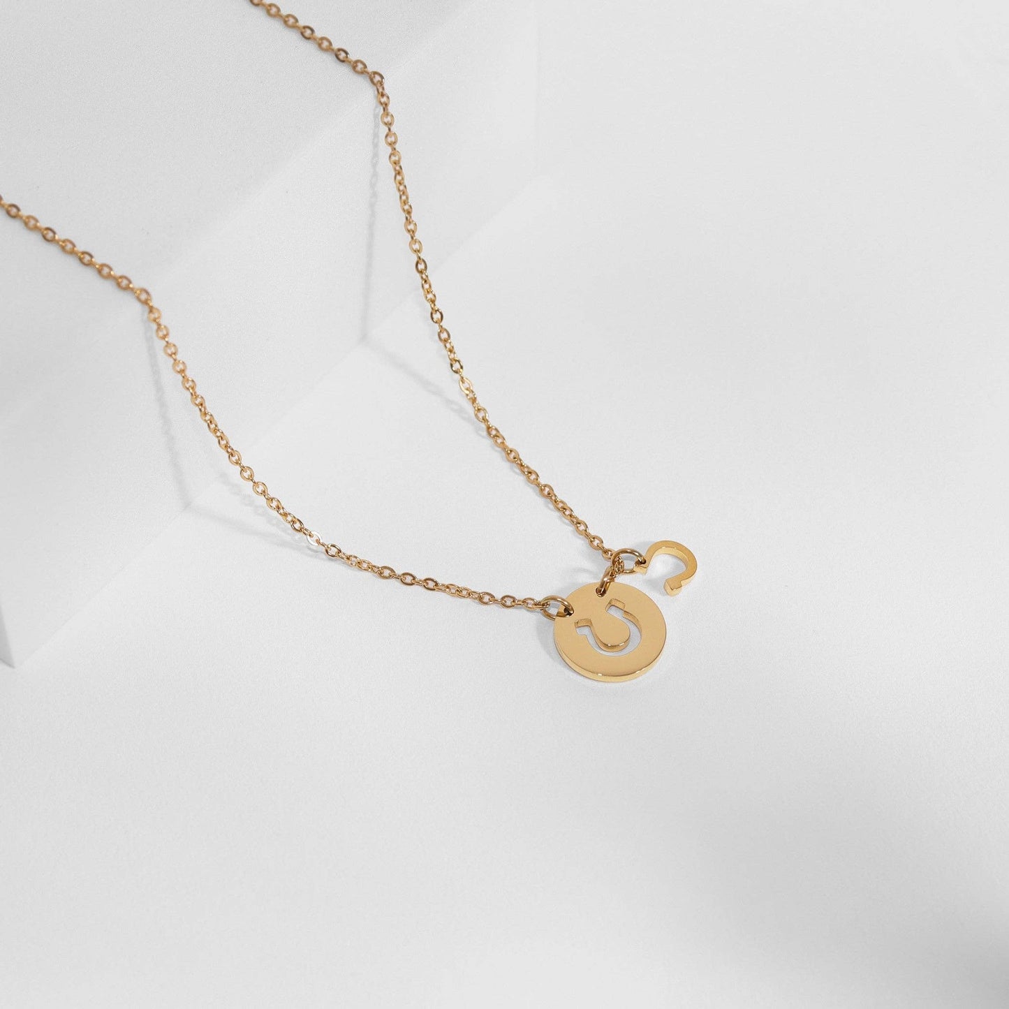 Western Stainless Steel / PVD Gold Horseshoe Charm Necklace: Gold