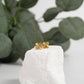 18K Gold PVD Stainless Steel Clover Stud Earrings